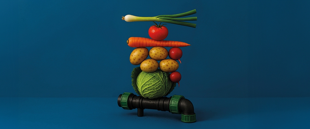 frutta e verdura in fila stile natura morta su sfondo blu | Crédit Agricole frutta e verdura in fila stile natura morta su sfondo blu | Crédit Agricole