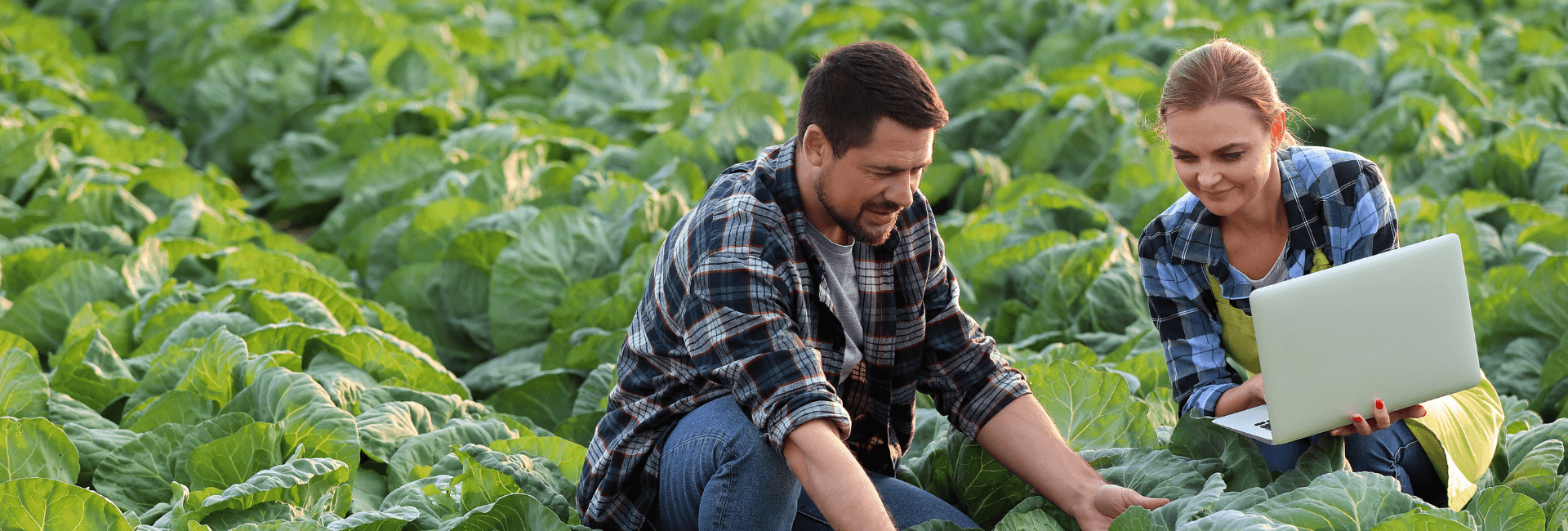 LA CRESCITA DEL SISTEMA AGROINDUSTRIALE, OLTRE LA TECNOLOGIA | Crédit Agricole LA CRESCITA DEL SISTEMA AGROINDUSTRIALE, OLTRE LA TECNOLOGIA | Crédit Agricole