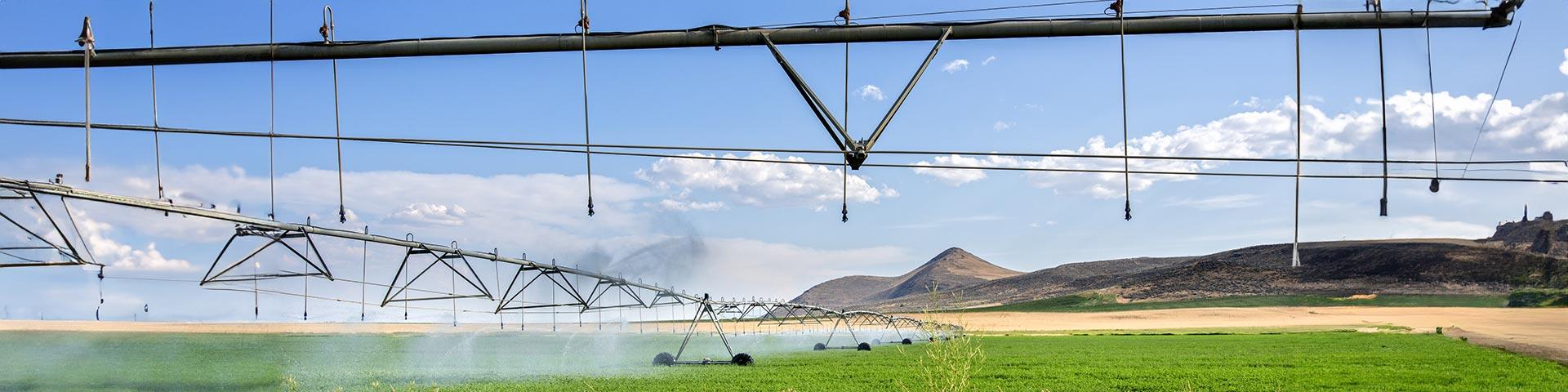 Irrigazione, la precisione è indispensabile | Crédit Agricole Irrigazione, la precisione è indispensabile | Crédit Agricole