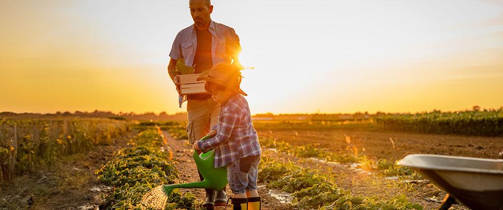 La Commissione Europea cambia rotta sull’agricoltura | Crédit Agricole La Commissione Europea cambia rotta sull’agricoltura | Crédit Agricole