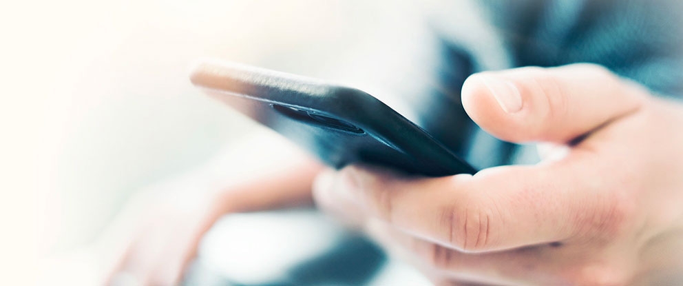 Mule / Money mule | Crédit Agricole Mule / Money mule | Crédit Agricole