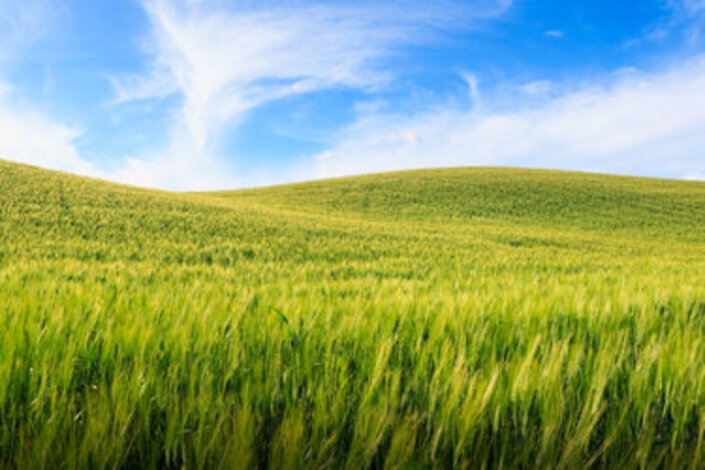 Confagricoltura | Crédit Agricole Confagricoltura | Crédit Agricole