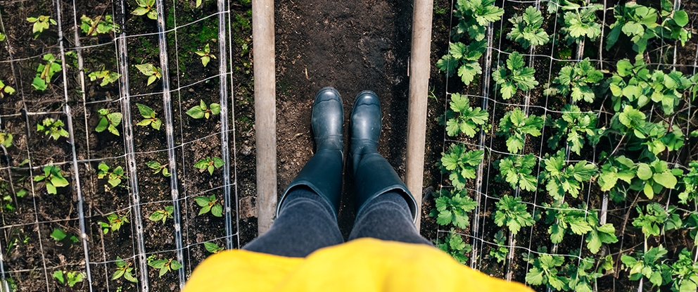 donna con stivali di gomma alti con i piedi nell'orto | Crédit Agricole donna con stivali di gomma alti con i piedi nell'orto | Crédit Agricole