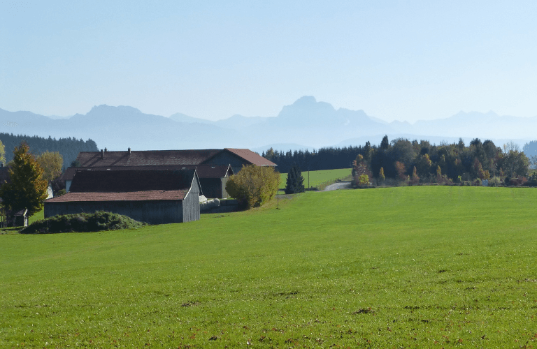 Allevamento intensivo: la riduzione dei gas serra è una necessità | Crédit Agricole Allevamento intensivo: la riduzione dei gas serra è una necessità | Crédit Agricole