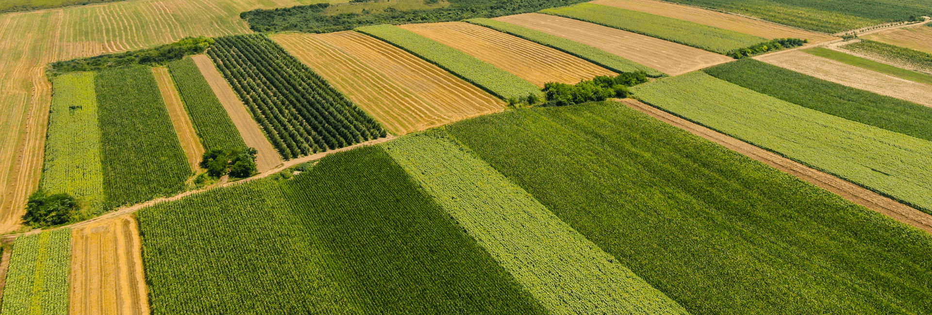 Nuova PAC 2023 – 2027: giovani agricoltori e ambiente al centro | Crédit Agricole Nuova PAC 2023 – 2027: giovani agricoltori e ambiente al centro | Crédit Agricole