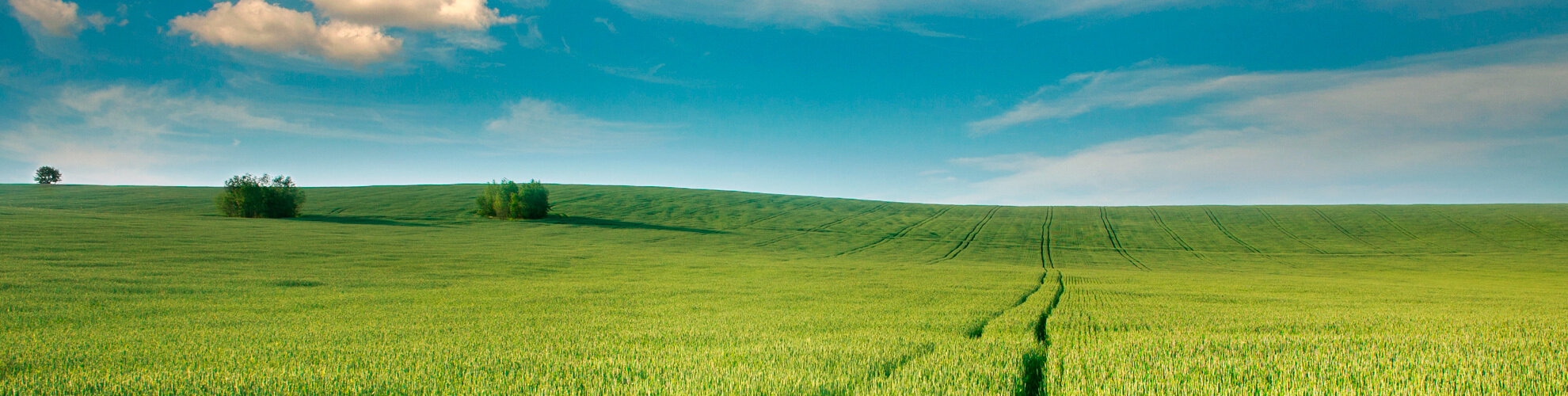Coldiretti | Crédit Agricole Coldiretti | Crédit Agricole