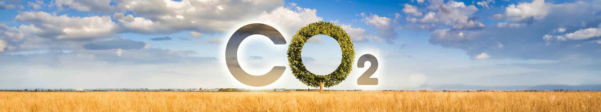 Carbon farming, dalla teoria alla pratica | Crédit Agricole Carbon farming, dalla teoria alla pratica | Crédit Agricole