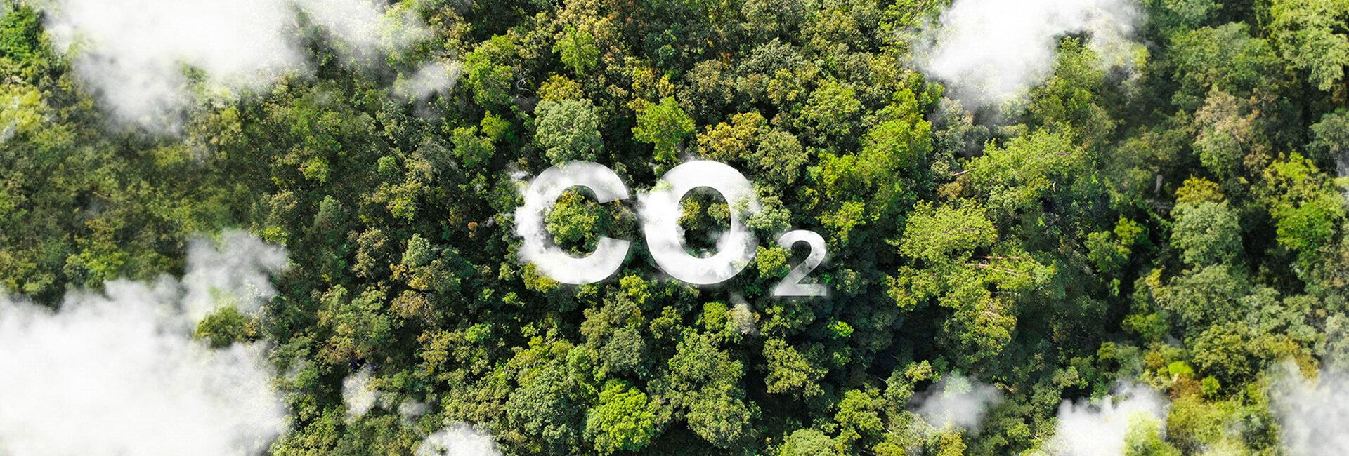 Carbon farming: azioni necessarie e la difficile partita degli incentivi | Crédit Agricole Carbon farming: azioni necessarie e la difficile partita degli incentivi | Crédit Agricole