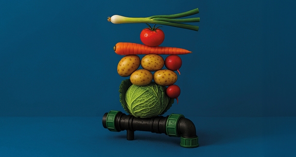 frutta e verdura in fila stile natura morta su sfondo blu | Crédit Agricole frutta e verdura in fila stile natura morta su sfondo blu | Crédit Agricole