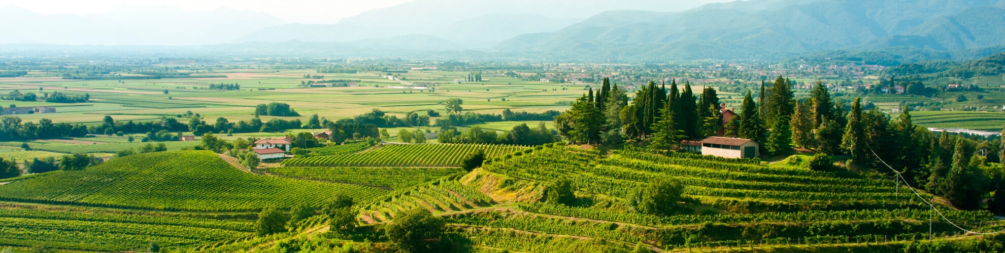 Legge Regionale FVG 80/82 | Crédit Agricole Legge Regionale FVG 80/82 | Crédit Agricole