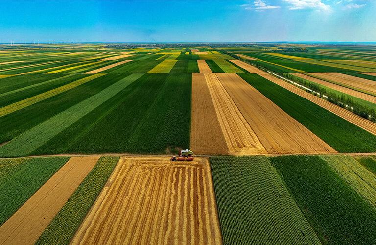 FAO: a Roma la prima Conferenza globale sulla meccanizzazione agricola sostenibile | Crédit Agricole FAO: a Roma la prima Conferenza globale sulla meccanizzazione agricola sostenibile | Crédit Agricole