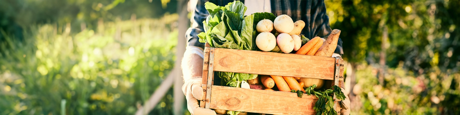 Agricoltura Biologica | Crédit Agricole Agricoltura Biologica | Crédit Agricole