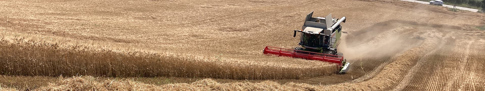 ColtivaItalia, oltre un miliardo per l'agricoltura italiana | Crédit Agricole ColtivaItalia, oltre un miliardo per l'agricoltura italiana | Crédit Agricole
