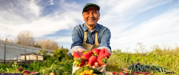 uomo che mostra sorridente un raccolto di fragole | Crédit Agricole uomo che mostra sorridente un raccolto di fragole | Crédit Agricole
