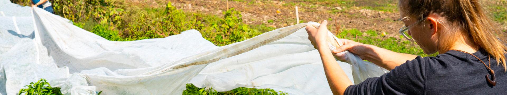 Carbon Farming e contributo delle banche | Crédit Agricole Carbon Farming e contributo delle banche | Crédit Agricole