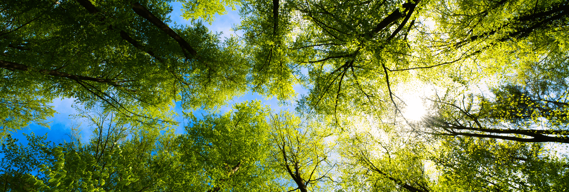 L’azione climatica passa anche dagli investimenti | Crédit Agricole L’azione climatica passa anche dagli investimenti | Crédit Agricole