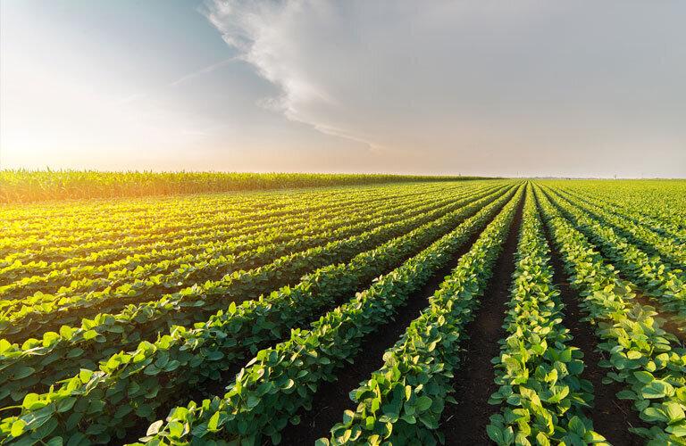 REPORT DELL’OSSERVATORIO REGIONALE SUL CREDITO AGRICOLO | Crédit Agricole REPORT DELL’OSSERVATORIO REGIONALE SUL CREDITO AGRICOLO | Crédit Agricole