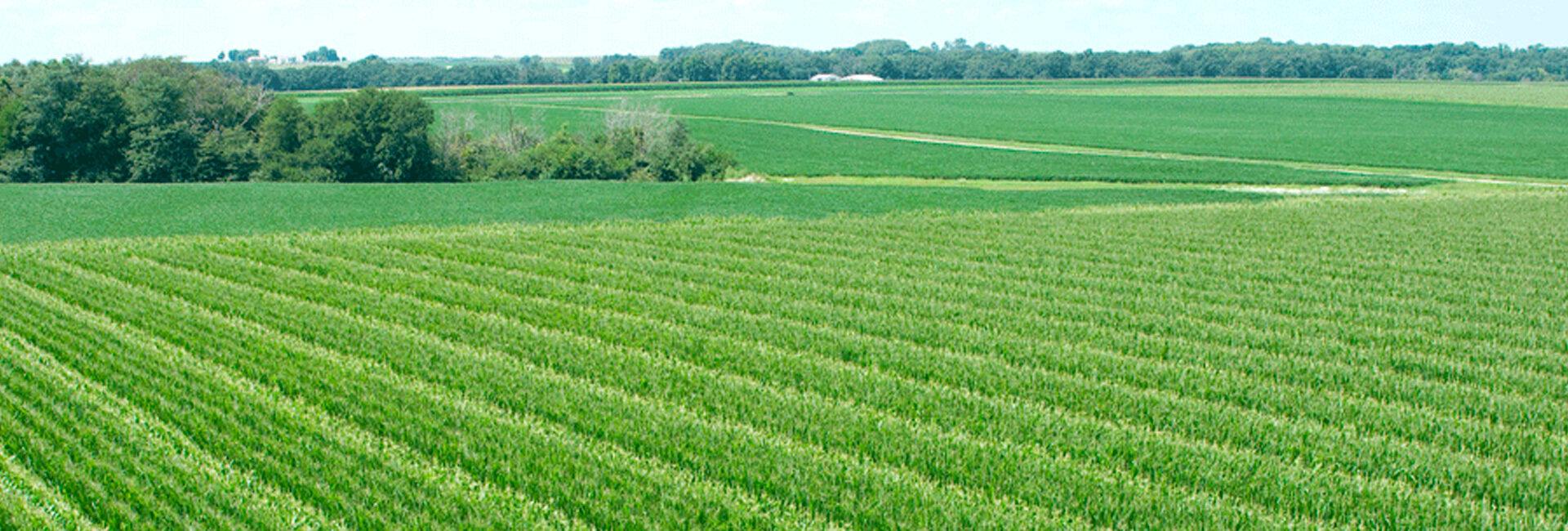 Evoluzione del credito agrario | Crédit Agricole Evoluzione del credito agrario | Crédit Agricole