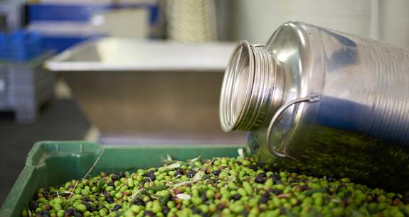 latta di olio | Crédit Agricole latta di olio | Crédit Agricole