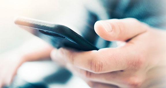 Mule / Money mule | Crédit Agricole Mule / Money mule | Crédit Agricole