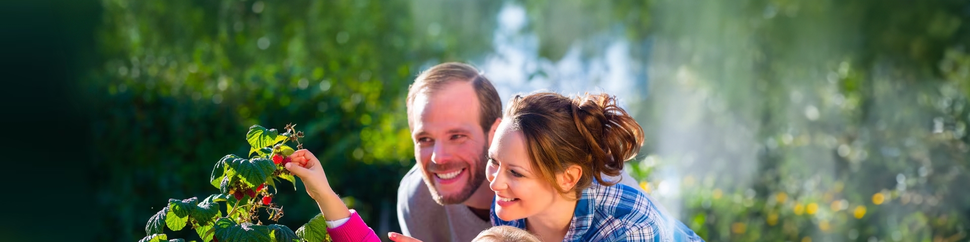 CA Vita Global Solution (Unit) | Crédit Agricole CA Vita Global Solution (Unit) | Crédit Agricole