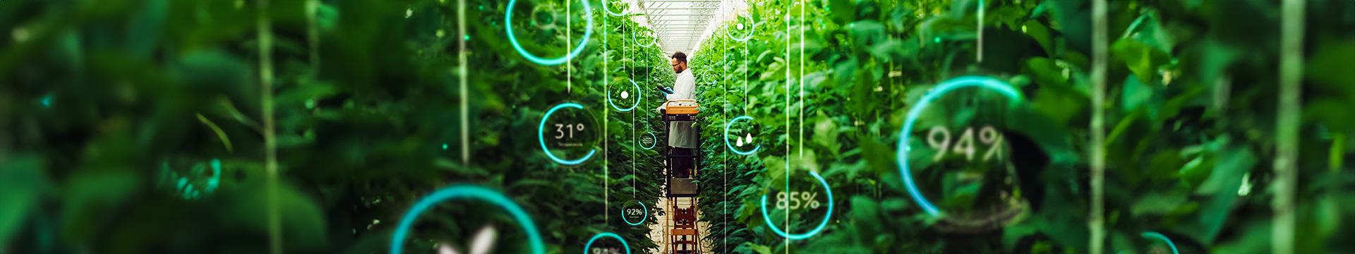 Nuovi strumenti per misurare la sostenibilità delle aziende agricole | Crédit Agricole Nuovi strumenti per misurare la sostenibilità delle aziende agricole | Crédit Agricole