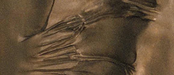 Moneta e la sua traccia positiva e negativa nella storia dell'uomo | Crédit Agricole Moneta e la sua traccia positiva e negativa nella storia dell'uomo | Crédit Agricole