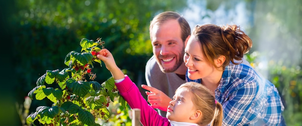 CA Vita Global Solution (Unit) | Crédit Agricole CA Vita Global Solution (Unit) | Crédit Agricole