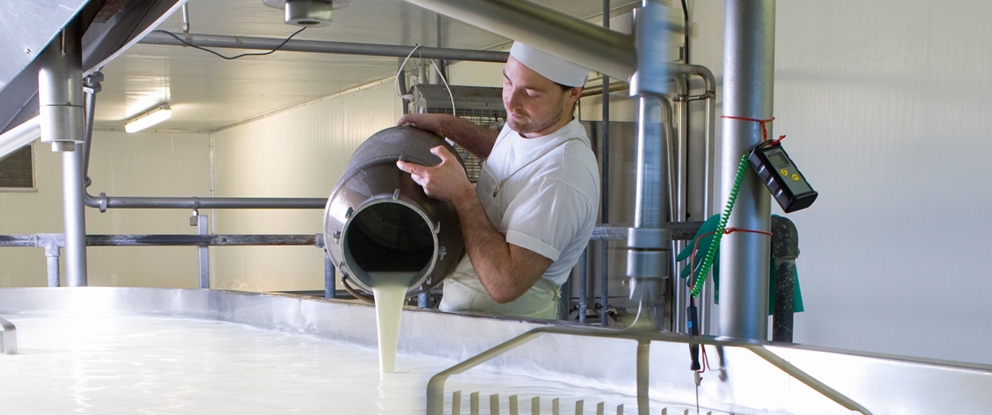 Filiera Latte | Crédit Agricole Filiera Latte | Crédit Agricole