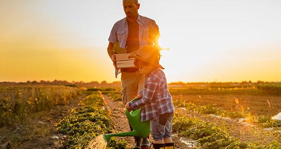 La Commissione Europea cambia rotta sull’agricoltura | Crédit Agricole La Commissione Europea cambia rotta sull’agricoltura | Crédit Agricole