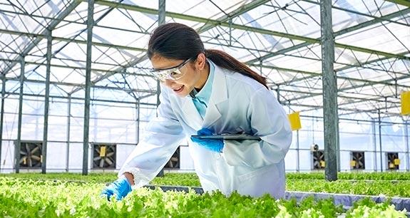 Fondo innovazione ISMEA dotazione 2025 | Crédit Agricole Fondo innovazione ISMEA dotazione 2025 | Crédit Agricole