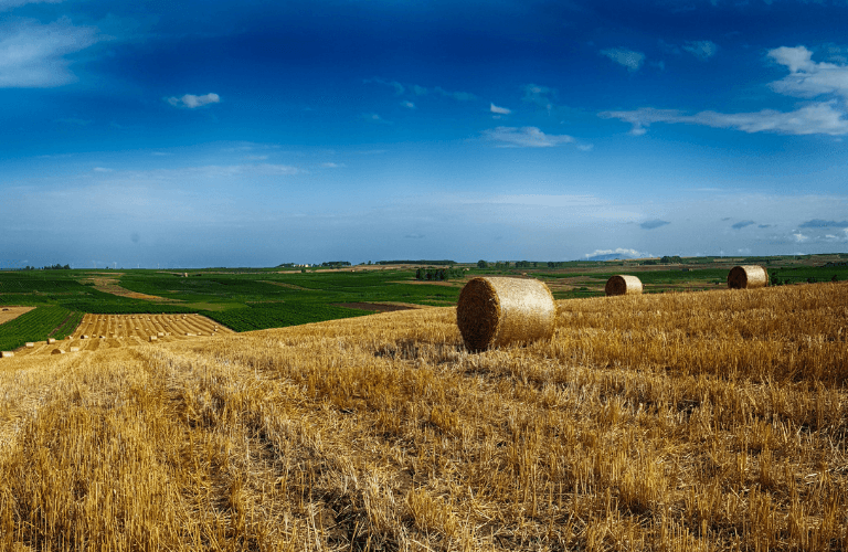 LA SOSTENIBILITÀ ECONOMICA DELL’AZIENDA AGRICOLA | Crédit Agricole LA SOSTENIBILITÀ ECONOMICA DELL’AZIENDA AGRICOLA | Crédit Agricole