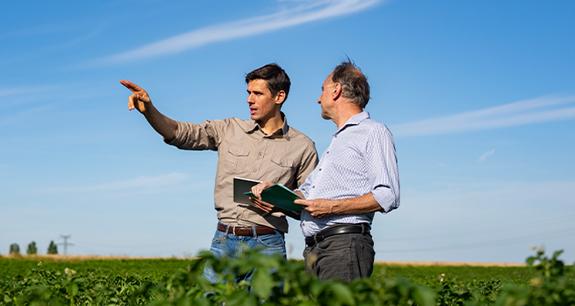due uomini, uno giovane e uno meno giovane, in campo che parlano osservando la coltivazione | Crédit Agricole due uomini, uno giovane e uno meno giovane, in campo che parlano osservando la coltivazione | Crédit Agricole
