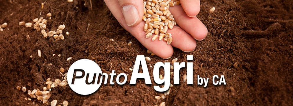 PuntoAgri by CA | Crédit Agricole