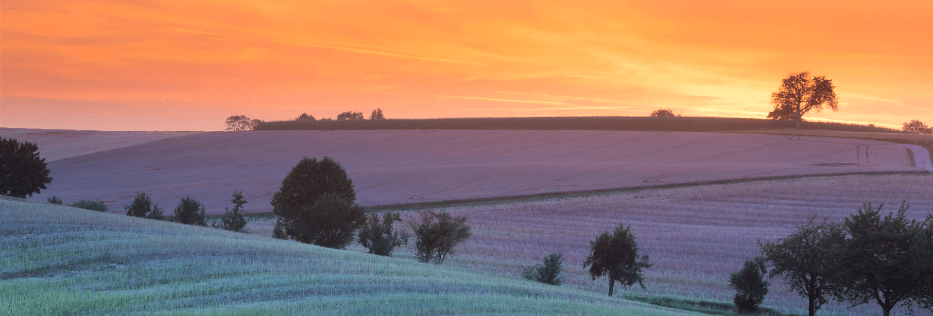 L’Agricoltura nella Legge di Bilancio 2023 | Crédit Agricole L’Agricoltura nella Legge di Bilancio 2023 | Crédit Agricole