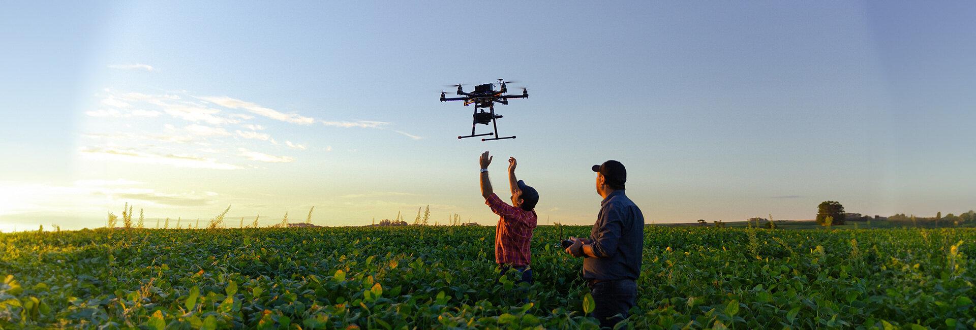 Contributi e garanzie dal Fondo per l’Innovazione in Agricoltura | Crédit Agricole Contributi e garanzie dal Fondo per l’Innovazione in Agricoltura | Crédit Agricole
