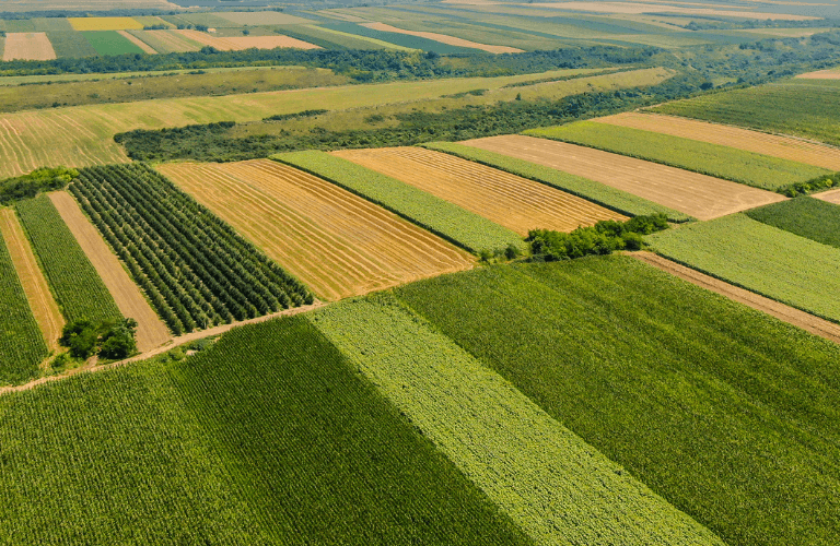 Nuova PAC 2023 – 2027: giovani agricoltori e ambiente al centro | Crédit Agricole Nuova PAC 2023 – 2027: giovani agricoltori e ambiente al centro | Crédit Agricole