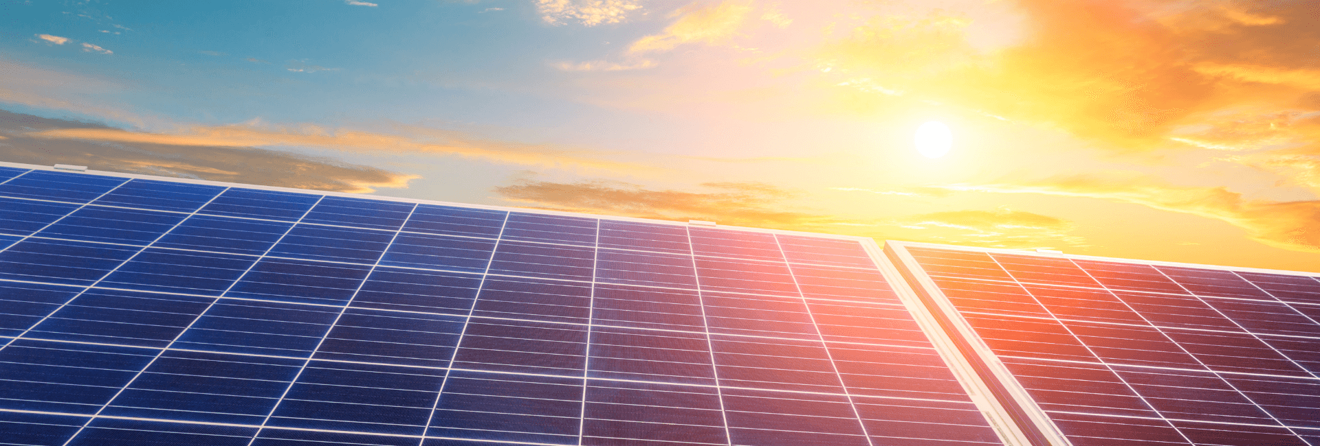 Agrisolare o Agrivoltaico? Stesso obiettivo, ma progettazione e contributi diversi | Crédit Agricole Agrisolare o Agrivoltaico? Stesso obiettivo, ma progettazione e contributi diversi | Crédit Agricole