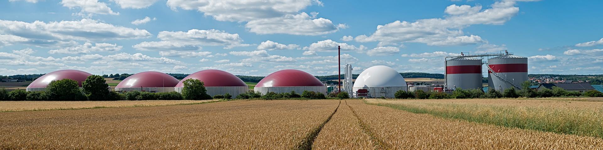 Bando pratiche ecologiche per biometano GSE | Crédit Agricole Bando pratiche ecologiche per biometano GSE | Crédit Agricole