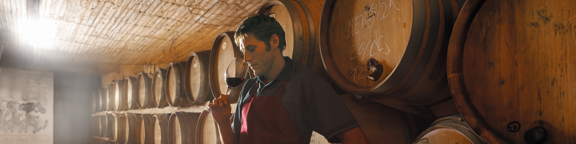 Filiera Vino | Crédit Agricole Filiera Vino | Crédit Agricole