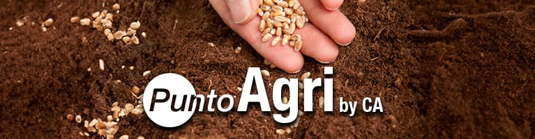 PuntoAgri by CA | Crédit Agricole