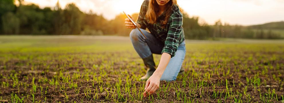 Da Bruxelles altre misure in favore degli agricoltori | Crédit Agricole Da Bruxelles altre misure in favore degli agricoltori | Crédit Agricole