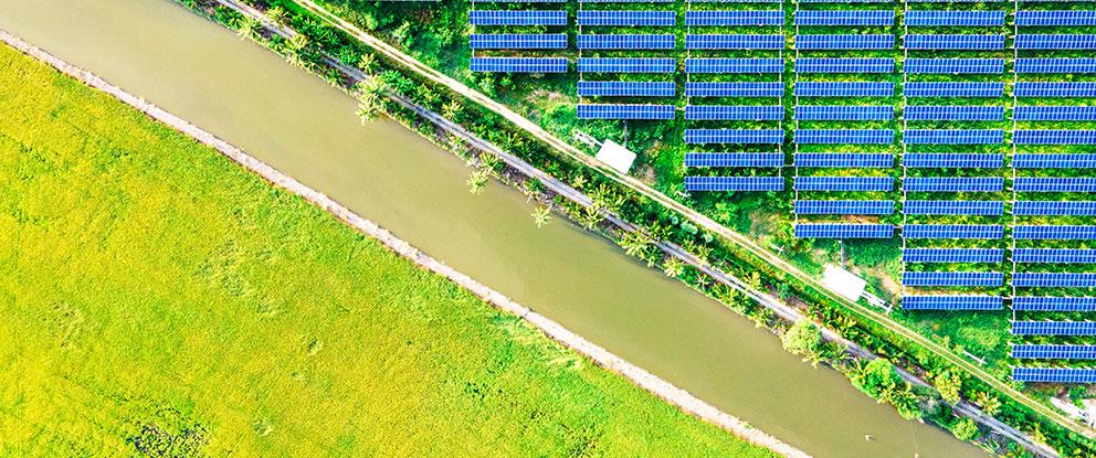 Agrivoltaico, ci sono ancora 323 milioni di incentivi | Crédit Agricole Agrivoltaico, ci sono ancora 323 milioni di incentivi | Crédit Agricole