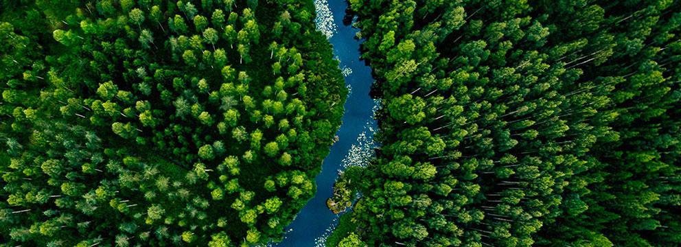 Ripristino della natura | Crédit Agricole Ripristino della natura | Crédit Agricole