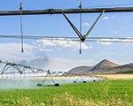 Irrigazione, la precisione è indispensabile | Crédit Agricole Irrigazione, la precisione è indispensabile | Crédit Agricole