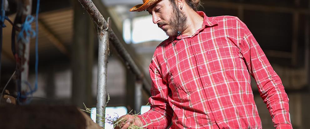 Zootecnia da carne, un’idea meravigliosa per uscire dalla crisi | Crédit Agricole Zootecnia da carne, un’idea meravigliosa per uscire dalla crisi | Crédit Agricole