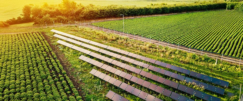 terrazzamento di pannelli fotovoltaici | Crédit Agricole terrazzamento di pannelli fotovoltaici | Crédit Agricole