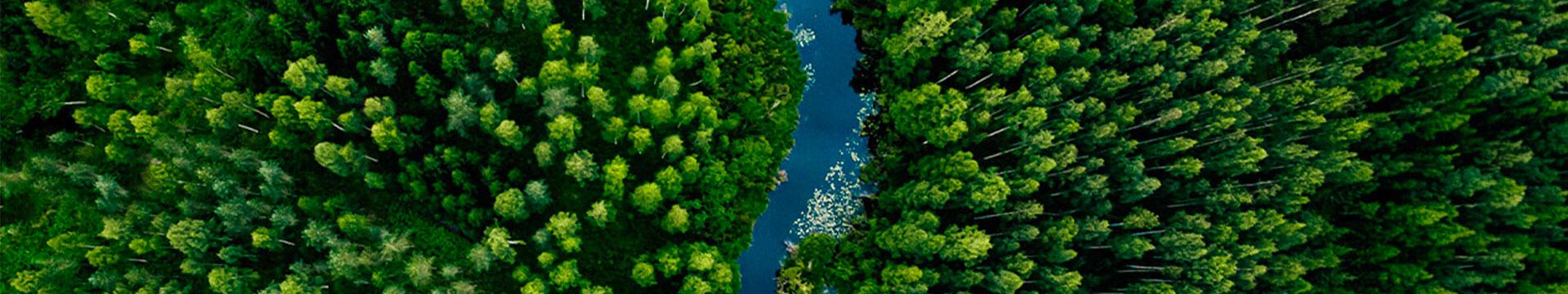 Ripristino della natura | Crédit Agricole Ripristino della natura | Crédit Agricole