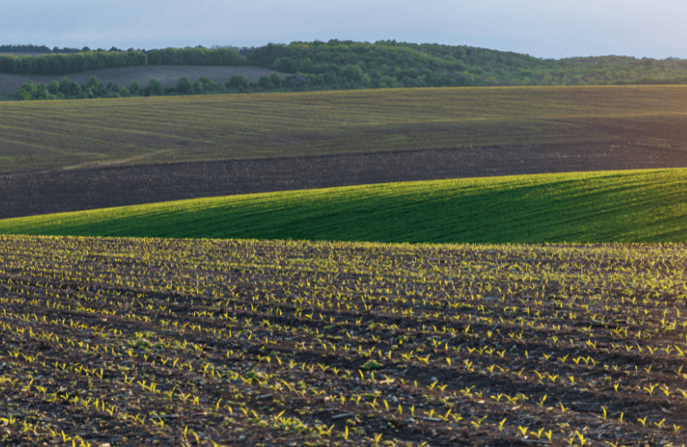Sicurezza alimentare e PAC | Crédit Agricole Sicurezza alimentare e PAC | Crédit Agricole
