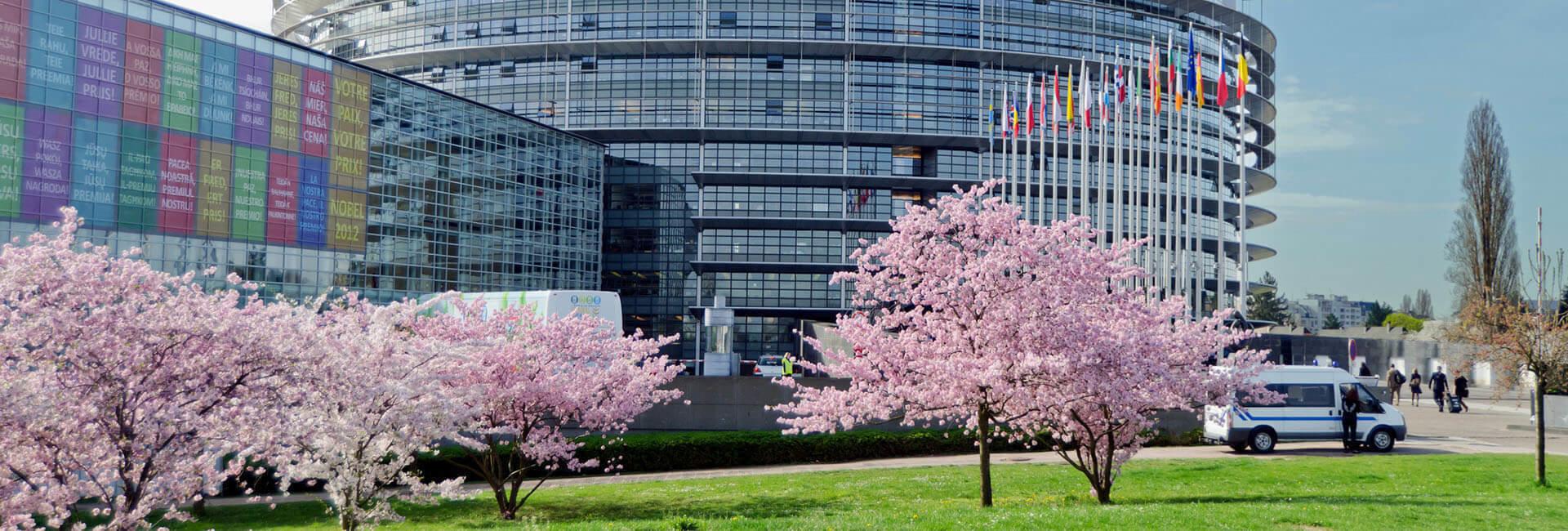 Europa al voto, come investire riducendo i rischi | Crédit Agricole Europa al voto, come investire riducendo i rischi | Crédit Agricole